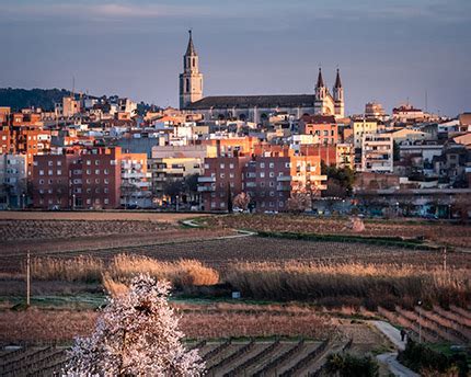 DHL Vilafranca del Penedés